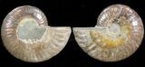 Polished Ammonite Pair - Agatized #41179-1